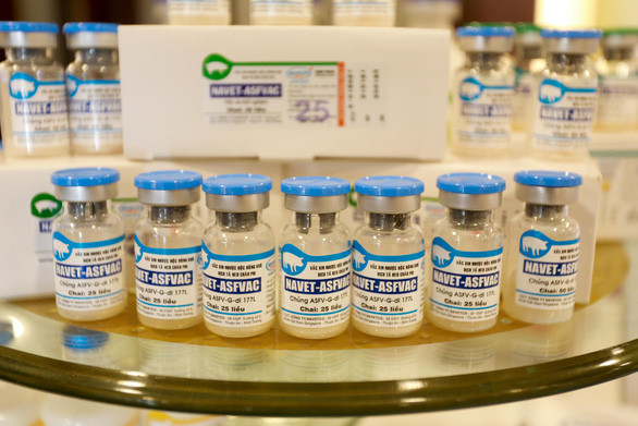 Vaccine phòng dịch tả lợn châu Phi dự kiến tháng 8 ra thị trường, từ 34.000 - 36.000 đồng/liều